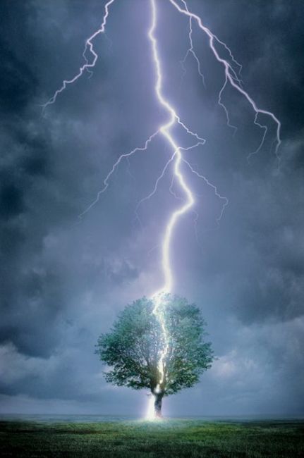 lightning-strike-tree2