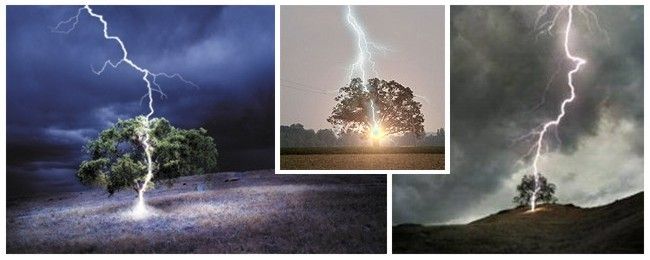 lightning-strike-tree3-4-5