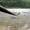 Переправа через реку, Космопоиск, 2003