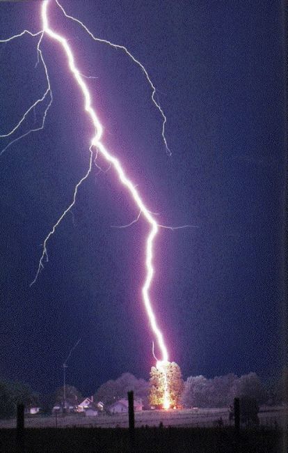 lightning-strike-tree1